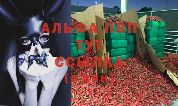 хмурый Каменск-Шахтинский