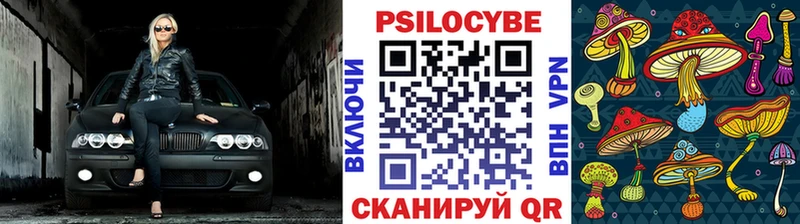 Купить закладки Пыталово Псилоцибиновые грибы GOLDEN TEACHER